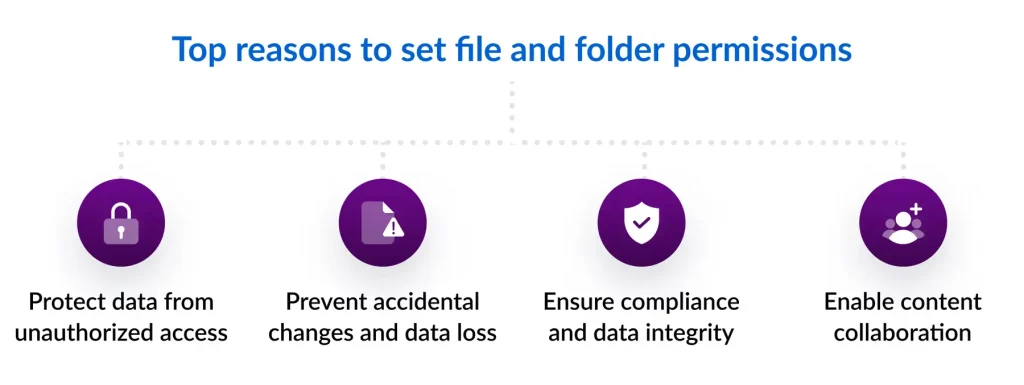 Are My Files Secure when Using AudioAlter?